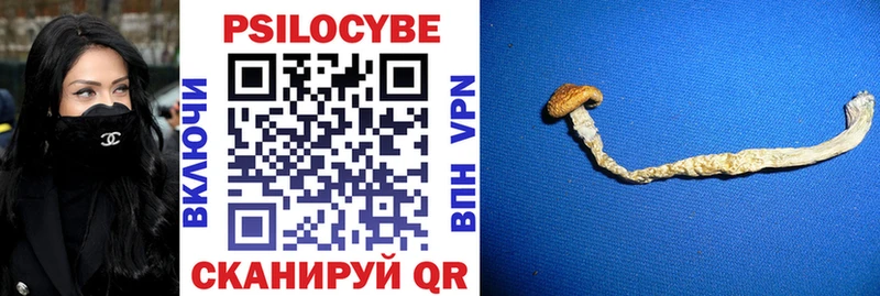 Псилоцибиновые грибы Magic Shrooms Боровск